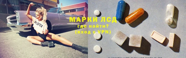 ГАЛЛЮЦИНОГЕННЫЕ ГРИБЫ Баксан
