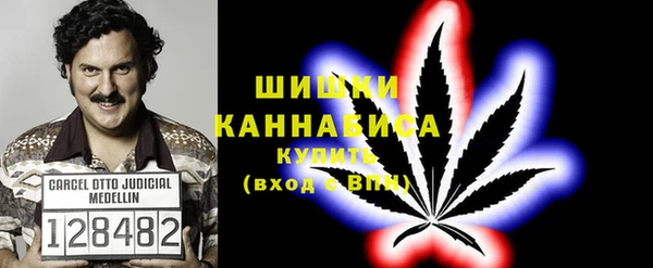 дмт Россошь