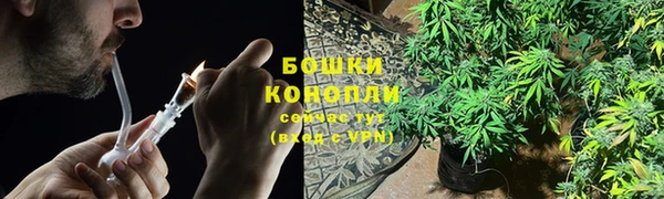 ГАЛЛЮЦИНОГЕННЫЕ ГРИБЫ Баксан