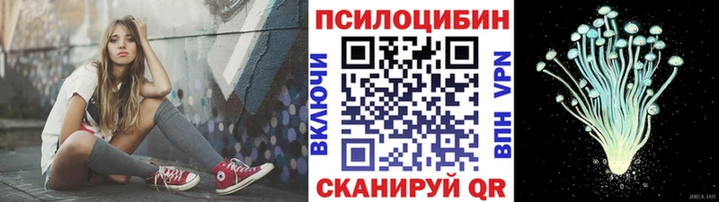 Галлюциногенные грибы Psilocybe  Дигора 